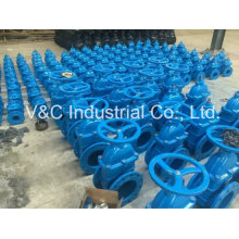 DIN F5 Flanged Gate Valve